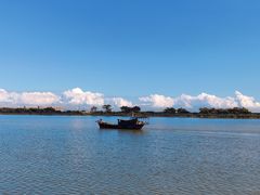 -大湾区中央湿地公园-十九涌
