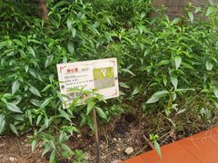 -广州神农草堂中医药博物馆