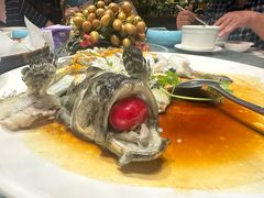 -顺意·顺德家乡菜(国际人才大厦店)