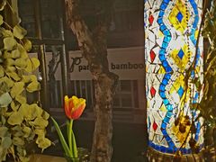 -Uncle Kosto科斯托·中东菜