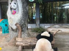 -海南热带野生动植物园