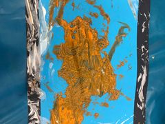 -金宝贝早教(南山花园城店)