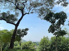 -广州市白云山风景名胜区