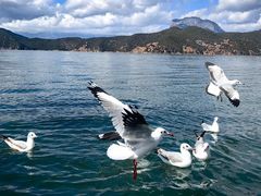 -丽江泸沽湖景区