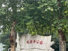 -龙头寺公园