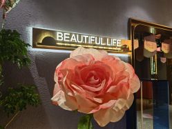 点击看大图 -花隐·美芙炫海菲秀皮肤管理中心