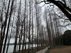-渤公岛生态公园