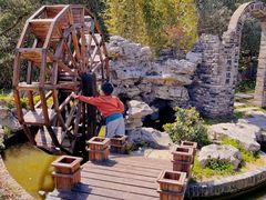 -上海共青森林公园