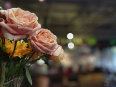 -Geneva日内瓦餐厅(西郊宝成花苑店)