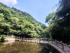-王顺山国家森林公园
