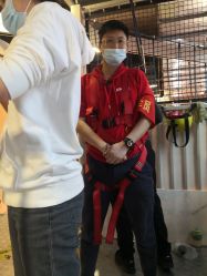 -嗨翻Hi-Fun竞技主题乐园·蹦床团建生日聚会(五棵松华熙店)
