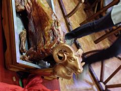 -呼伦贝尔大草原巴尔虎蒙古部落民俗旅游度假景区