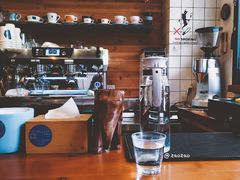 大堂-Be Lived Cafe比例咖啡(摩天轮店)