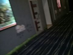 -中影国际影城(芜湖镜湖联盛店)