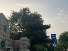-绿堤公园