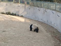 -辛玛王国游乐园