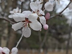 -莫子山公园