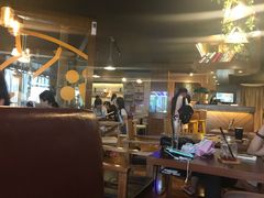 -喵园·猫主题咖啡厅·撸猫·猫咖(国贸店)