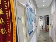 -乖乖宠物医院·猫科·骨科·24小时(云岗分院)