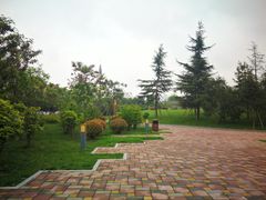 -唐城墙遗址公园
