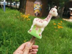 -秦皇岛野生动物园