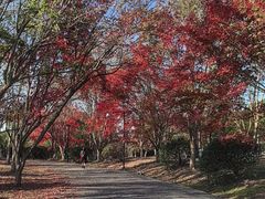 -南湖湿地公园
