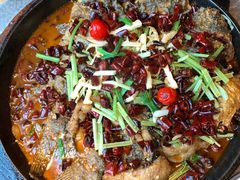 老板恋上鱼-老板恋上鱼(恒隆广场店)