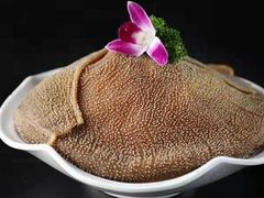 -犇鼎牛潮汕牛肉火锅(新辰里学清路店)