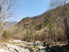 -陕西省红河谷森林公园