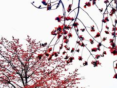 -喜洲吧·江畔老船厂·庭院餐厅(喜临院店)