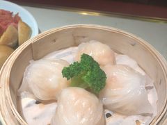 虾饺皇-南枝记