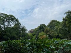 -成都杜甫草堂博物馆