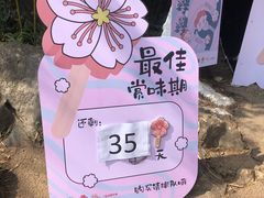 -昆明动物园