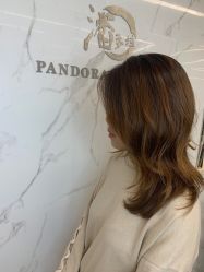 -潘多拉Hairsalon