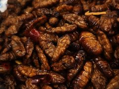 辣蚕蛹子-净香园熟肉(北坦总店)