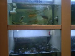 -渔梆子(长汀店)