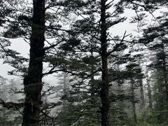 -瓦屋山景区