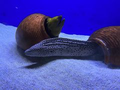 -江和美海洋公园