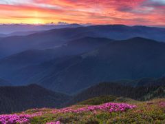 -磐安舞龙峡景区