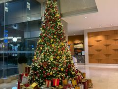 -上海大宁福朋喜来登酒店大堂吧(共和新路店)