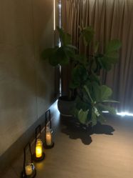 -VELEE·SPA高定疗愈会所