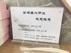 -世田造型