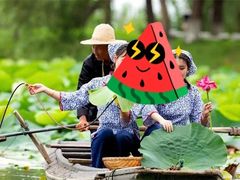 -洪湖湿地生态园