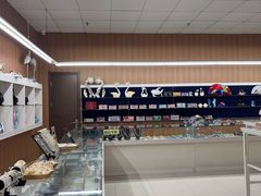 -青岛贝壳博物馆