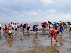 -北海金海湾红树林生态旅游区