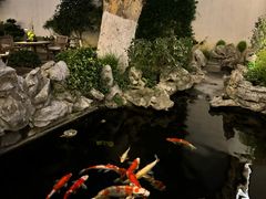 -鲤院·新中式美学·庭院餐厅(夫子庙店)