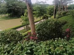 -南宁南湖公园