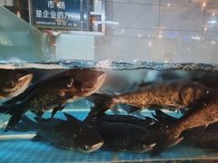 -老傅家湘潭水煮活鱼店(众一国际店)