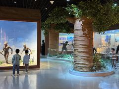 -国家自然博物馆