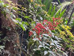 -时间仓(月湖公园店)